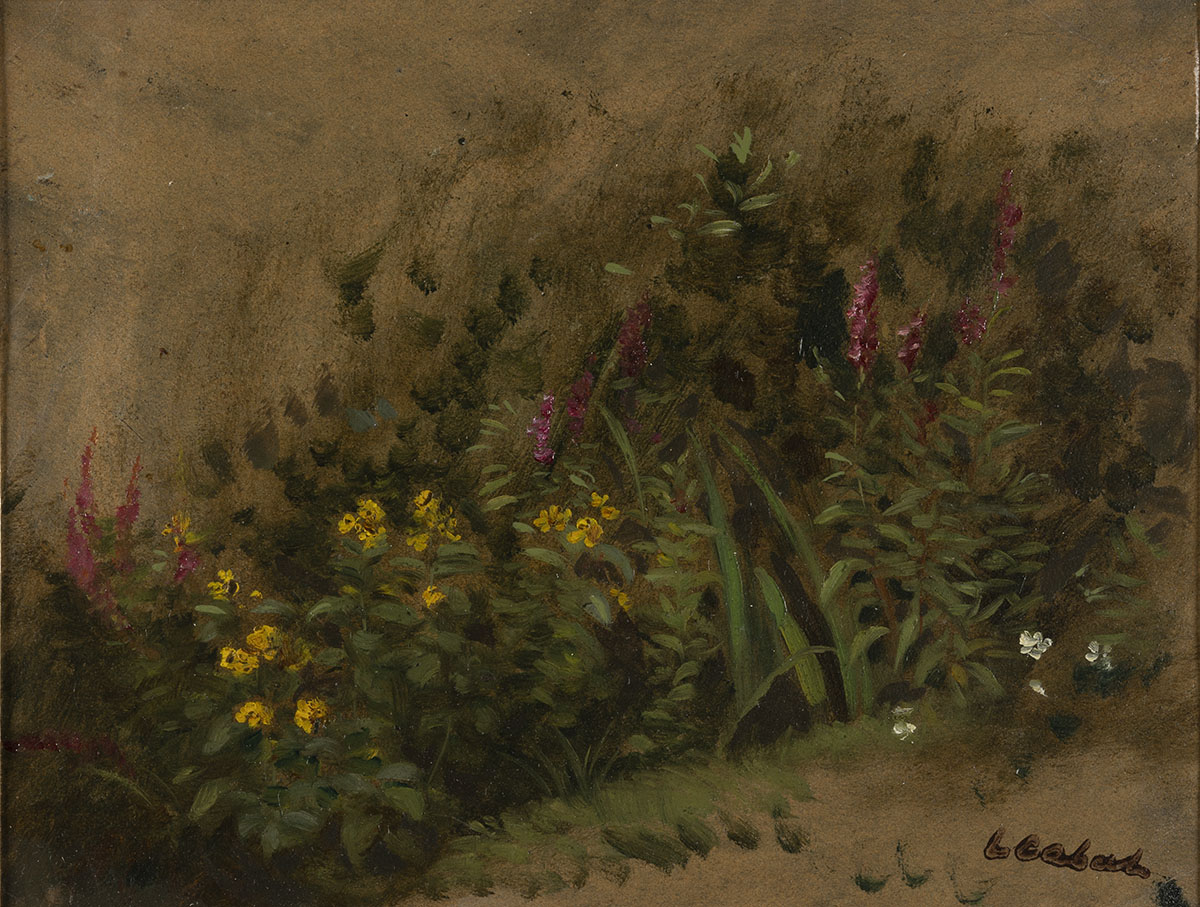 Étude de fleurs